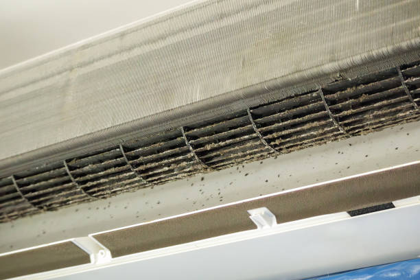 Best Duct Cleaning for Homes  in Ferguson, MO