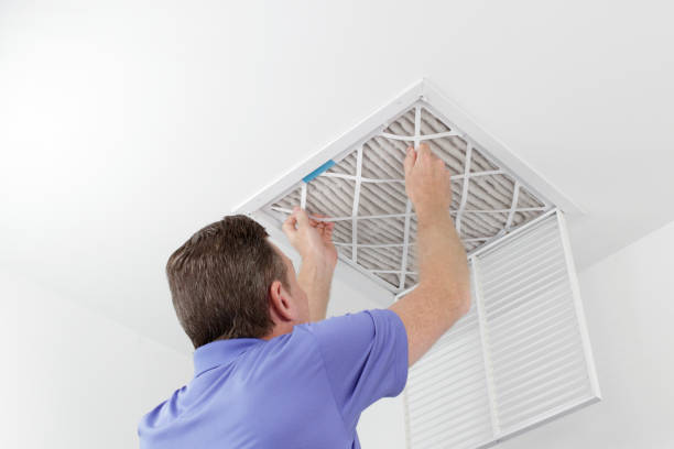 Best Affordable Duct Cleaning Services  in Ferguson, MO